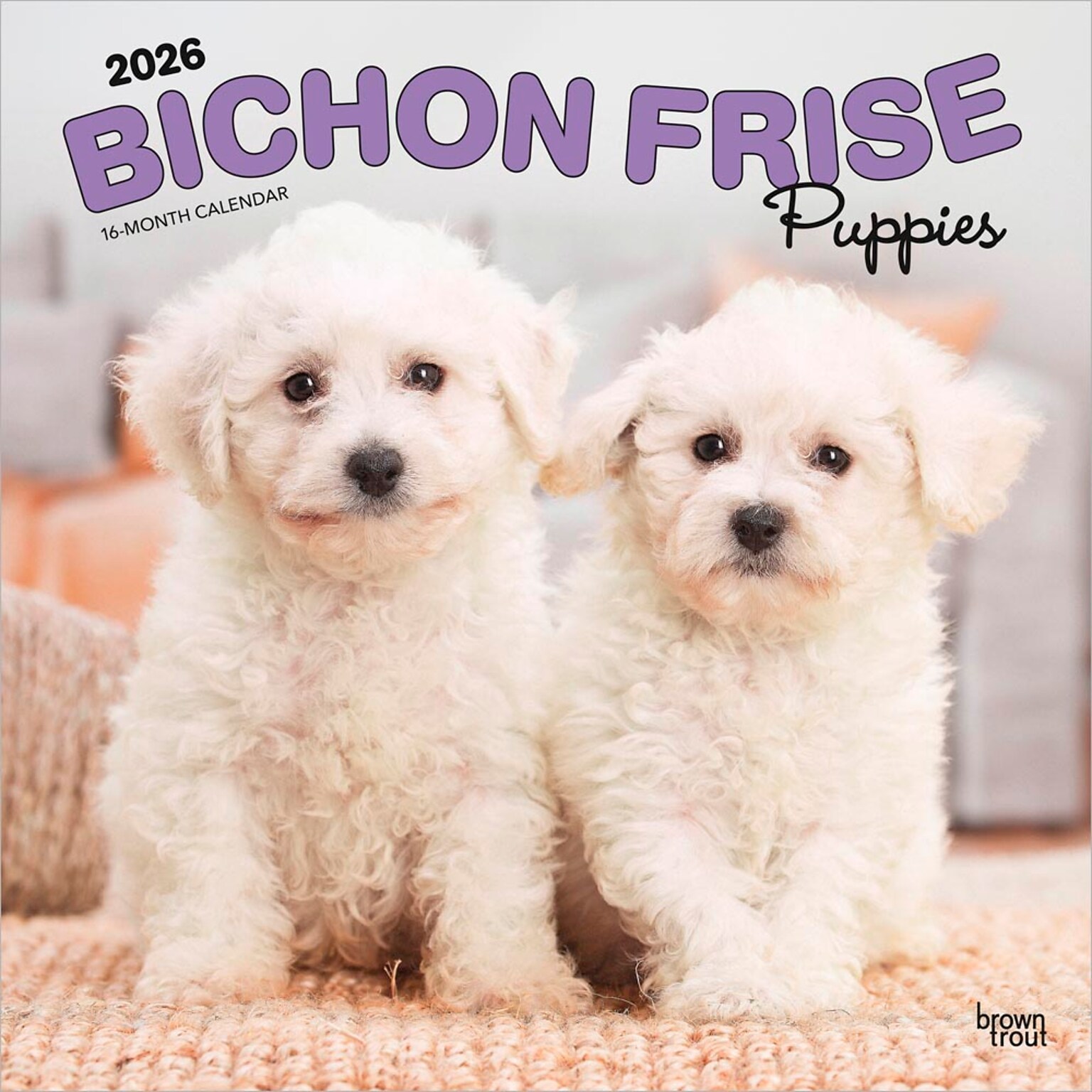 2026 BrownTrout Bichon Frise Puppies 12 x 12 Monthly Wall Calendar (9798330702435)