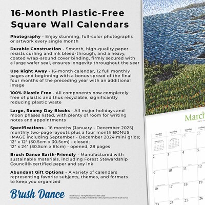 2025 Brush Dance Points of Light 12" x 24" Monthly Square Wall Calendar, (9781975481230)
