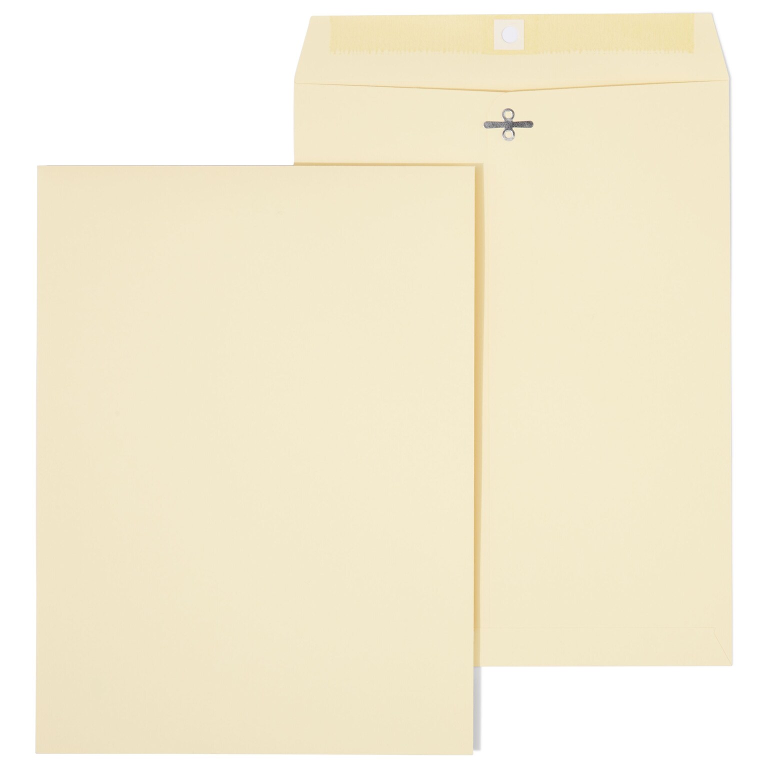 Staples Extra-Heavyweight Clasp & Moistenable Glue Catalog Envelopes, 9L x 12H, Manila, 100/Box (121962/19276)