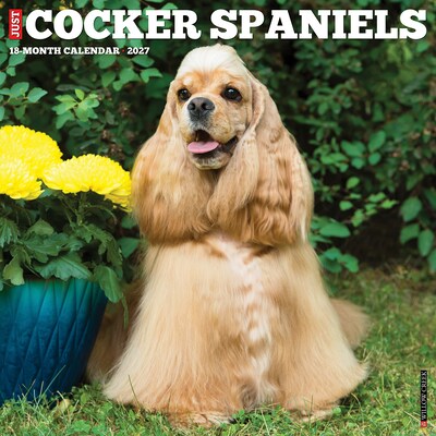 2027 Willow Creek Cocker Spaniels 12 x 12 Monthly Wall Calendar, Assorted Colors (59791)