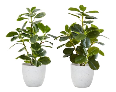 Monarch Specialties Inc. 14 Artificial Ficus Elastica Plant in Pot, 2/Set (I 9557)