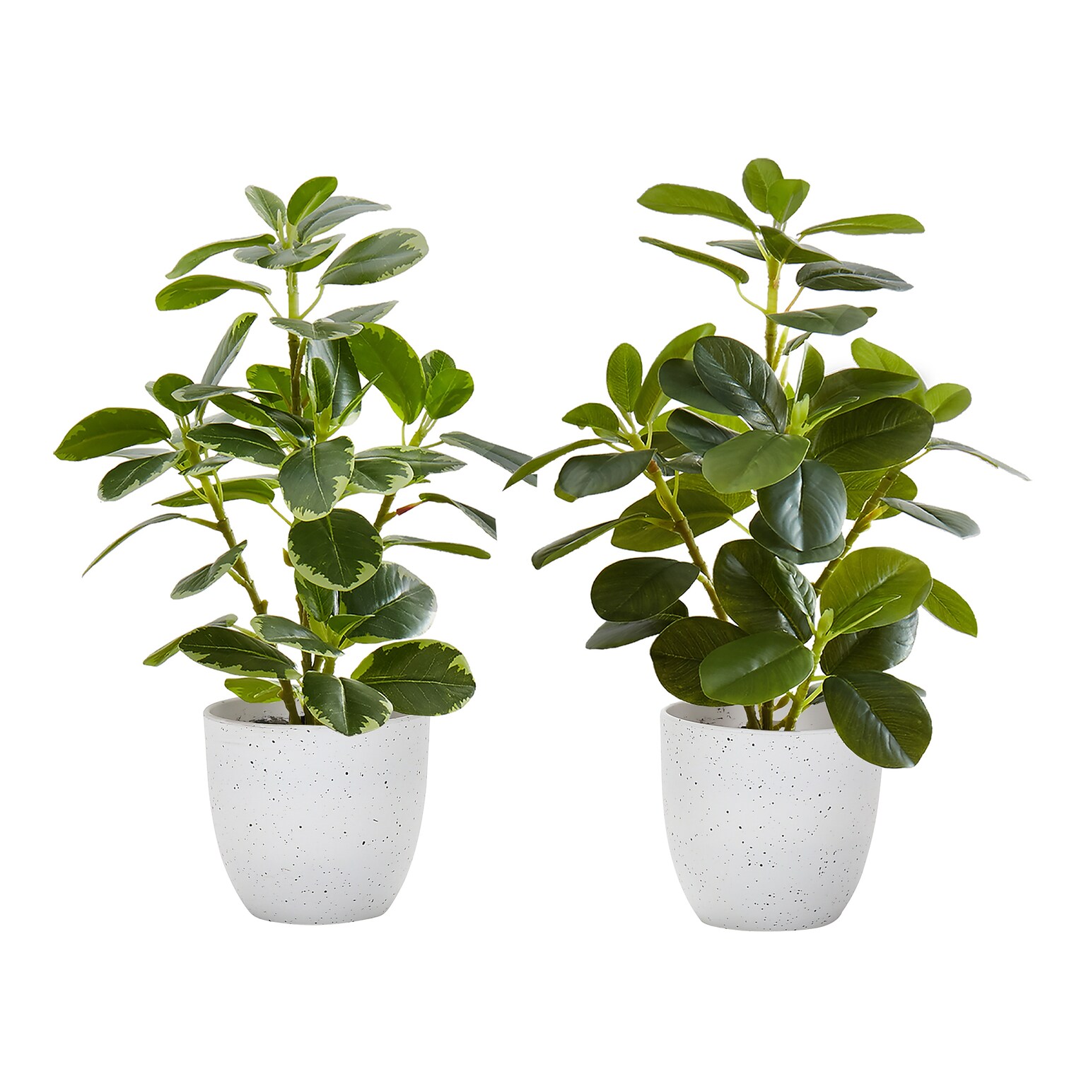 Monarch Specialties Inc. 14 Artificial Ficus Elastica Plant in Pot, 2/Set (I 9557)