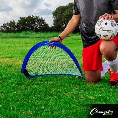 Champion Sports 30x18 Aluminum and Nylon Soccer Goal. Blue and White, (CHSSG3018)