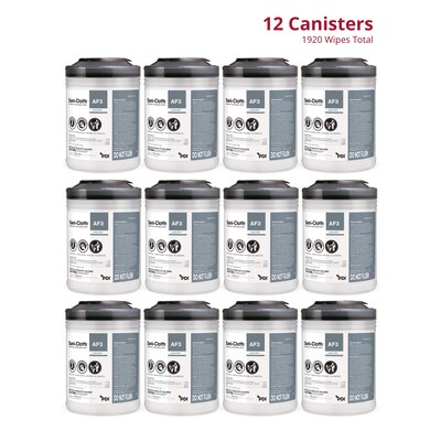 PDI Sani-Cloth AF3 Disinfecting Wipes, 160 Wipes/Container, 12/Carton (P13872CT)