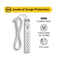 NXT Technologies™ 6-Outlet 2 USB Surge Protector, 6' Braided Cord, 900 Joules (NX54315)