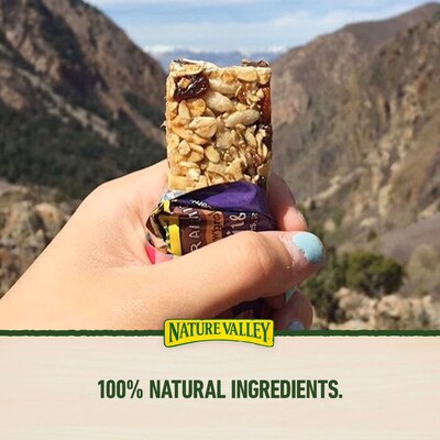 Nature Valley Chewy Fruit and Nut Trail Mix Bars, 1.2 oz., 48 Bags/Pack (GEM19696)