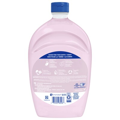 Softsoap Liquid Hand Soap Refill, Coconut & Hibiscus Scent (US07162A)