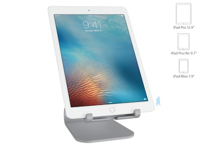 Rain Design mStand Tablet Plus Stand, Space Gray (10055)