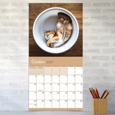 2027 TF Publishing Cat Dreams 12" x 12" Monthly Wall Calendar (27-1003)