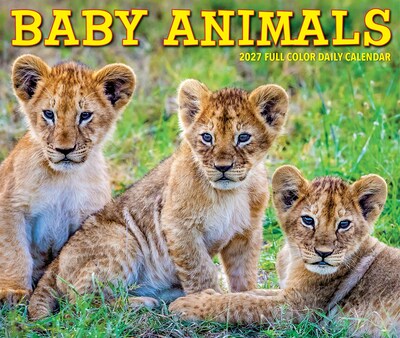 2027 Willow Creek Baby Animals 6.2" x 5.4" Daily Day-to-Day Calendar, Assorted Colors (63262)