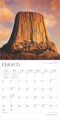 2025 BrownTrout Wyoming Wild & Scenic 12" x 12" Monthly  Wall Calendar (9781975475987)