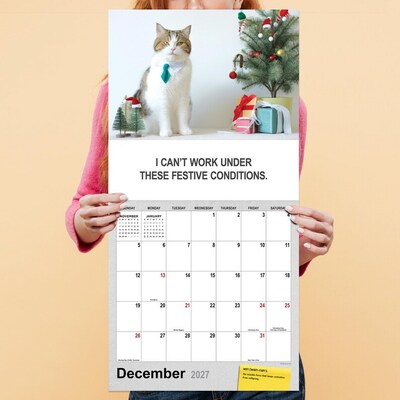2027 TF Publishing Corporate Cats 12" x 12" Monthly Wall Calendar (27-1005)