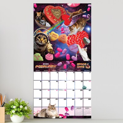 2026 TF Publishing Space Cats 12" x 12" Monthly Wall Calendar (26-1026)