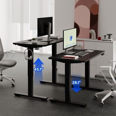FlexiSpot E2 42''W Electric Adjustable Standing Desk, Black (E2B4224B)