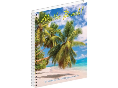 2025 Willow Creek Ah, the Beach! 6.5" x 8.5" Weekly Planner, Paper Cover, Multicolor (46050)