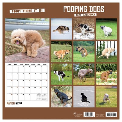 2027 TF Publishing Pooping Dogs 12" x 12" Monthly Wall Calendar, Multicolored (27-1062)