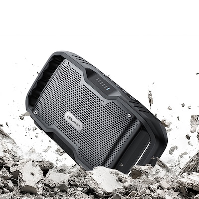 Dolphin Audio SOUNDBYTE 100 Wireless Bluetooth Portable Speaker with Dual 3-In. Woofers & Power Bank, Waterproof, Black (S100)