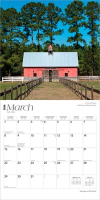 2026 BrownTrout Georgia on My Mind 12" x 12" Monthly Wall Calendar (9798330703333)