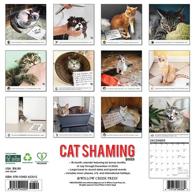 2025 Willow Creek Cat Shaming 12" x 12" Monthly Wall Calendar (42205)
