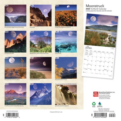 2023 BrownTrout Moonstruck 12 x 24 Monthly Wall Calendar, (9781975452285)