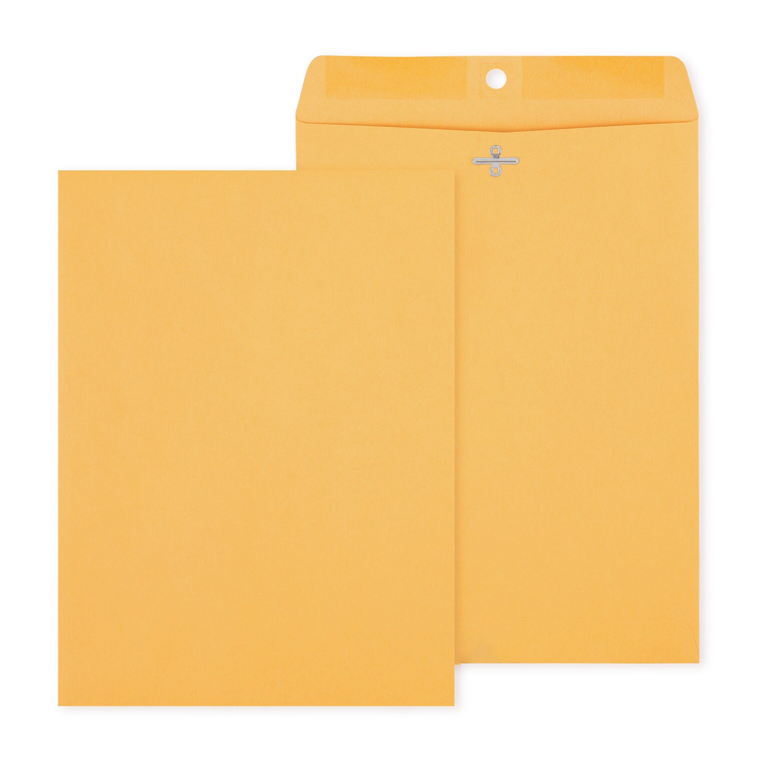 Staples Clasp Close Kraft Catalog Envelopes, 9L x 12H, Brown, 250/Box (487493/17242)
