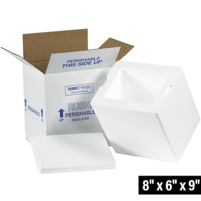 8 x 6 x 9 Insulated Shipper, White (209C)