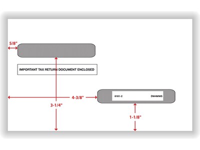 ComplyRight Self Seal 1099-R Tax Double-Window Envelope, 5.63" x 9", White, 100/Pack (DW4MWS)