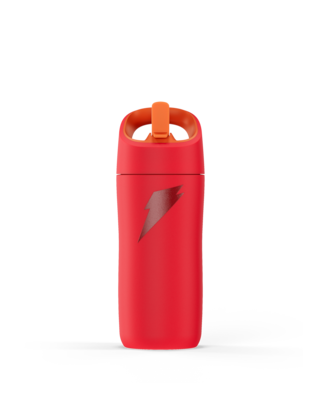 Gatorade Rookie Stainless Steel Water Bottle, 12 oz., Red (05606)
