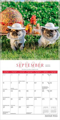 2026 BrownTrout Fantasy Pugs 7" x 7" Monthly Wall Calendar (9798330701858)