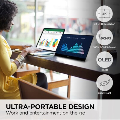 ViewSonic 15.6 4K Ultra HD 60Hz LED Monitor, Black (VX1655-4K-OLED)