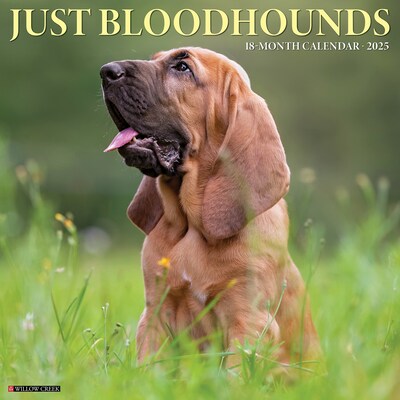 2025 Willow Creek Just Bloodhounds 2025 Wall Calendar 12 x 12 (41871)