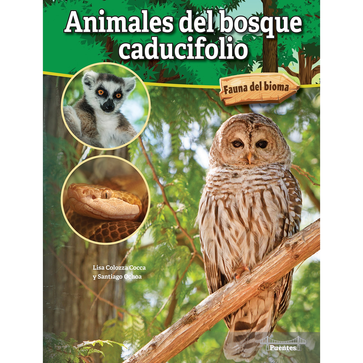 Carson-Dellosa Bridges Animales del bosque caducifolio, Hardcover (CD-9781731654618)