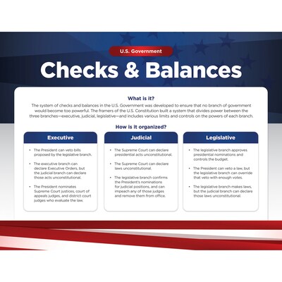 North Star Teacher Resources 17" x 22" U.S. Government Bulletin Board Set, 4/Set (NST3505)