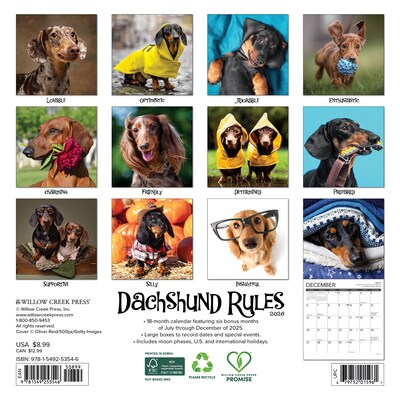 2026 Willow Creek Dachshund Rules 7 x 7 Monthly Wall Calendar (53546)