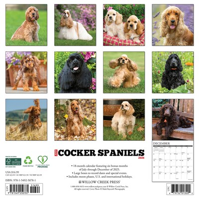 2026 Willow Creek Cocker Spaniels 12 x 12 Monthly Wall Calendar (50781)