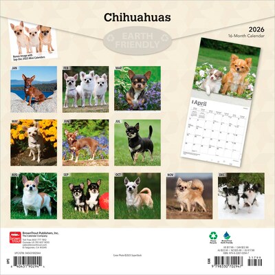2026 BrownTrout Chihuahuas 12 x 12 Monthly Wall Calendar (9798330702947)