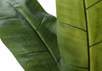 Monarch Specialties Inc. 55" Artificial Banana Tree in Pot (I 9568)