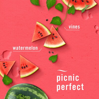 Febreze Plug In Oil Warmer Refill, Watermelon Scent, 0.87 oz., 2/Pack (11425)