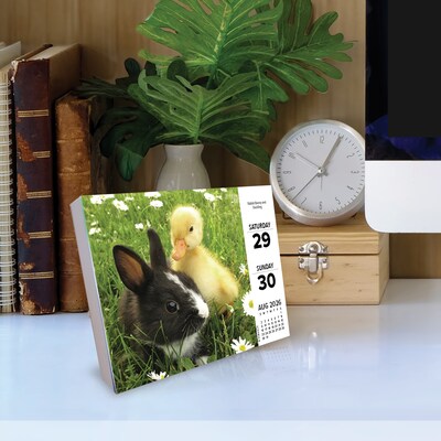 2026 Willow Creek Baby Animals 6.2" x 5.4" Day-to-Day Calendar (53928)