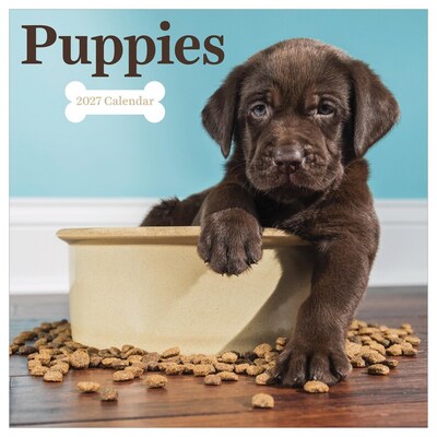 2027 TF Publishing Puppies 11 x 11 Monthly Wall Calendar, Multicolored (27-1025)
