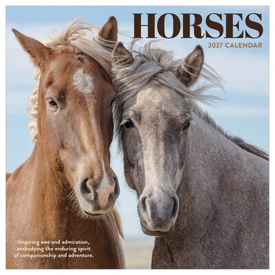 2027 TF Publishing Horses 7 x 7 Monthly Wall Calendar, Multicolored (27-2001)