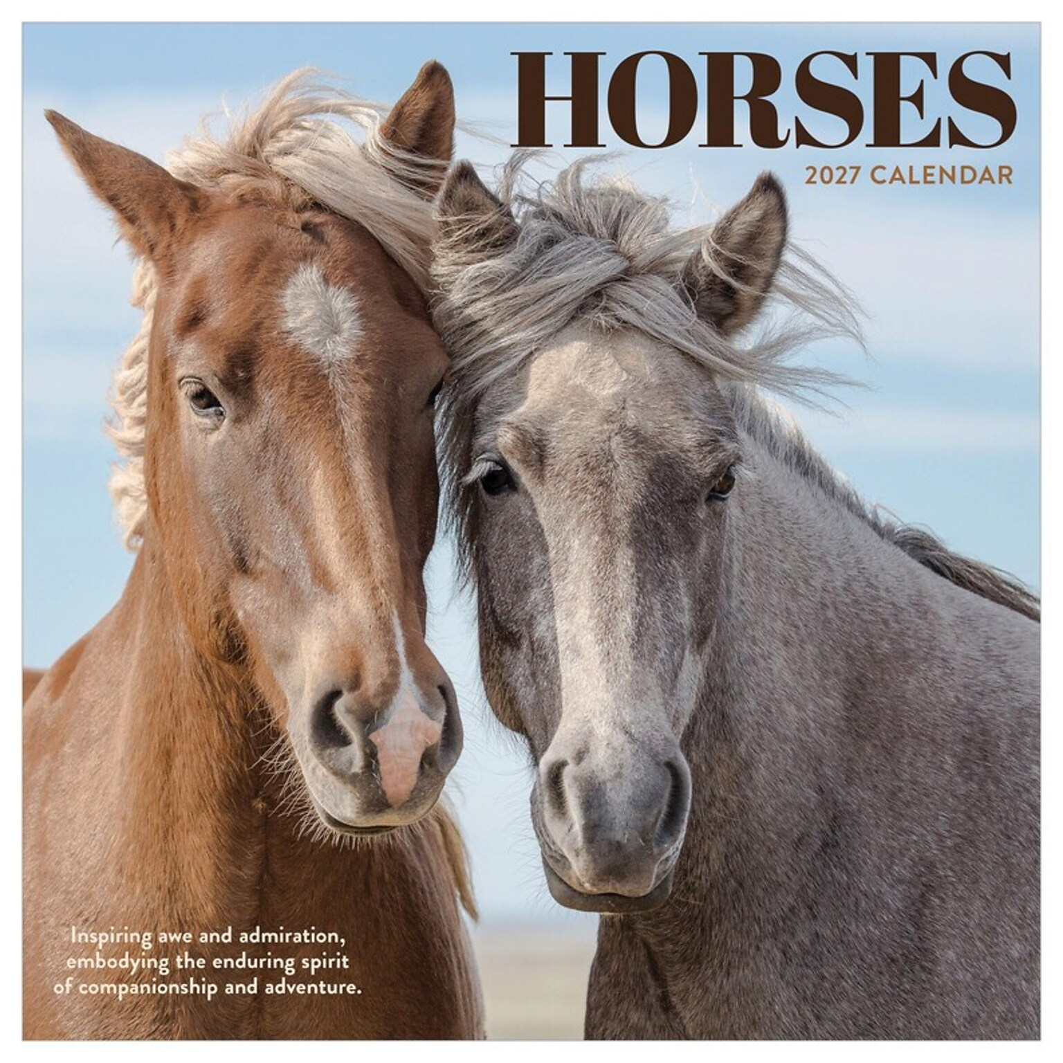 2027 TF Publishing Horses 7 x 7 Monthly Wall Calendar, Multicolored (27-2001)