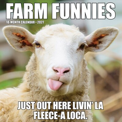 2027 Willow Creek Farm Funnies  12 x 12 Monthly Wall Calendar (65235)