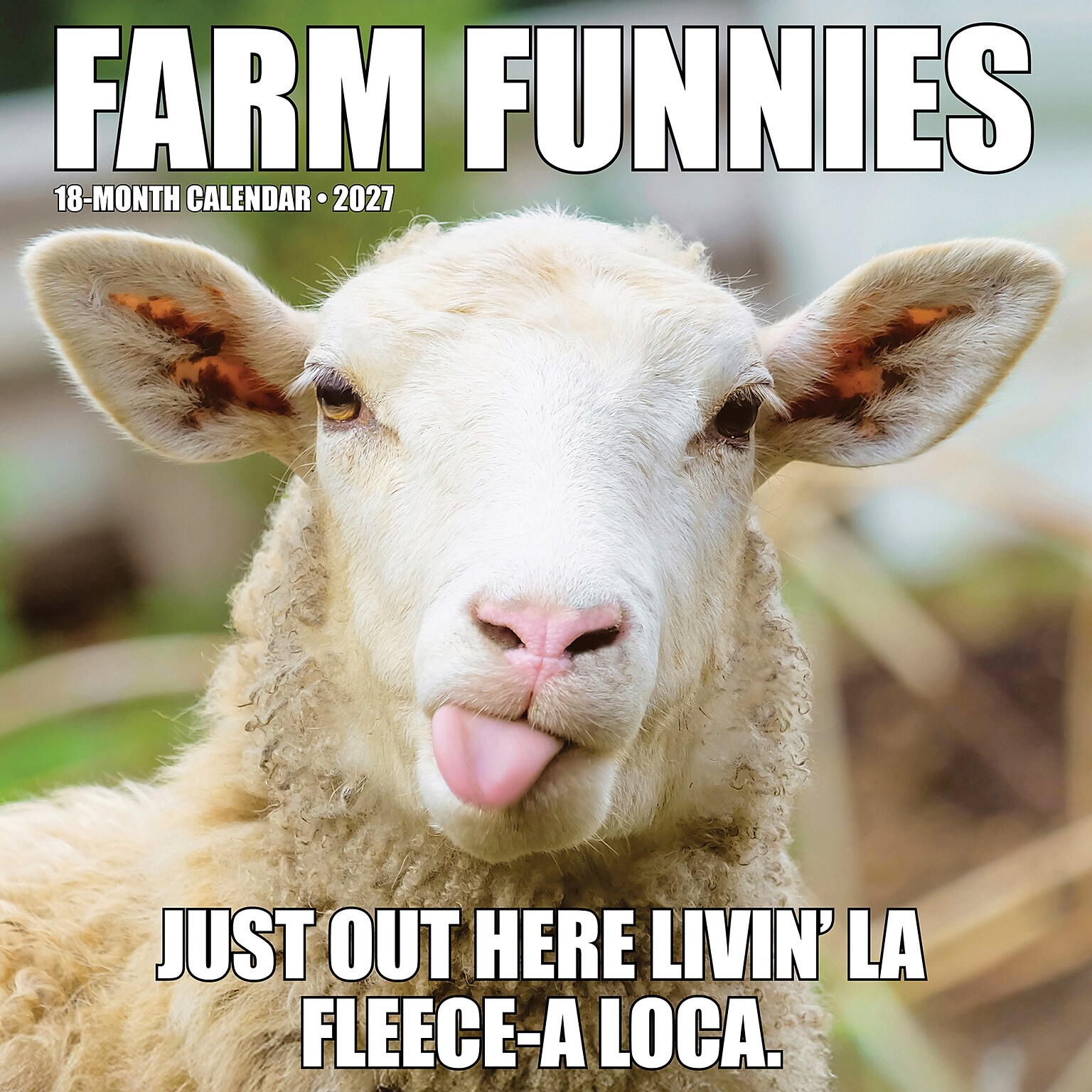 2027 Willow Creek Farm Funnies  12 x 12 Monthly Wall Calendar (65235)