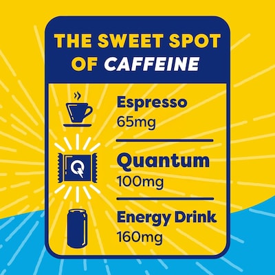 Quantum Chocolate Chip Cookie Dough Energy Squares, 8/Pack (220-02886)