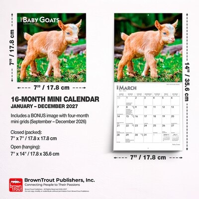 2027 BrownTrout Baby Goats 7" x 7" Monthly Wall Calendar, Assorted Colors (9798330709762)