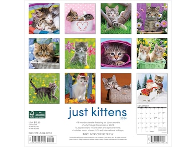 2024 Willow Creek Just Kittens 12" x 12" Monthly Wall Calendar (34170)