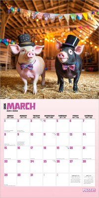 2026 BrownTrout Pigsty 12" x 12" Monthly Wall Calendar (9798330707263)