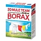 Dial® 20 Mule Team Borax Laundry Stain Remover, Powder, Box, Unscented, 4 lb., 6 Boxes/Carton (DIA00201)