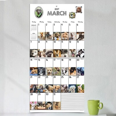 2027 TF Publishing Dog-A-Day 11" x 12" Monthly Wall Calendar (27-1009)